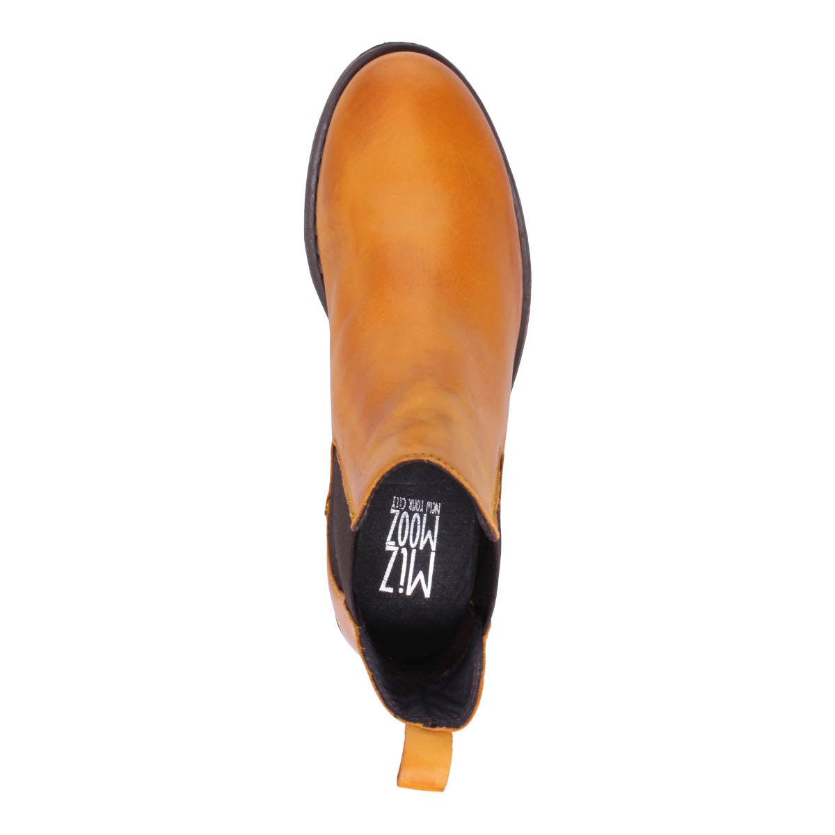 OCHRE | Top