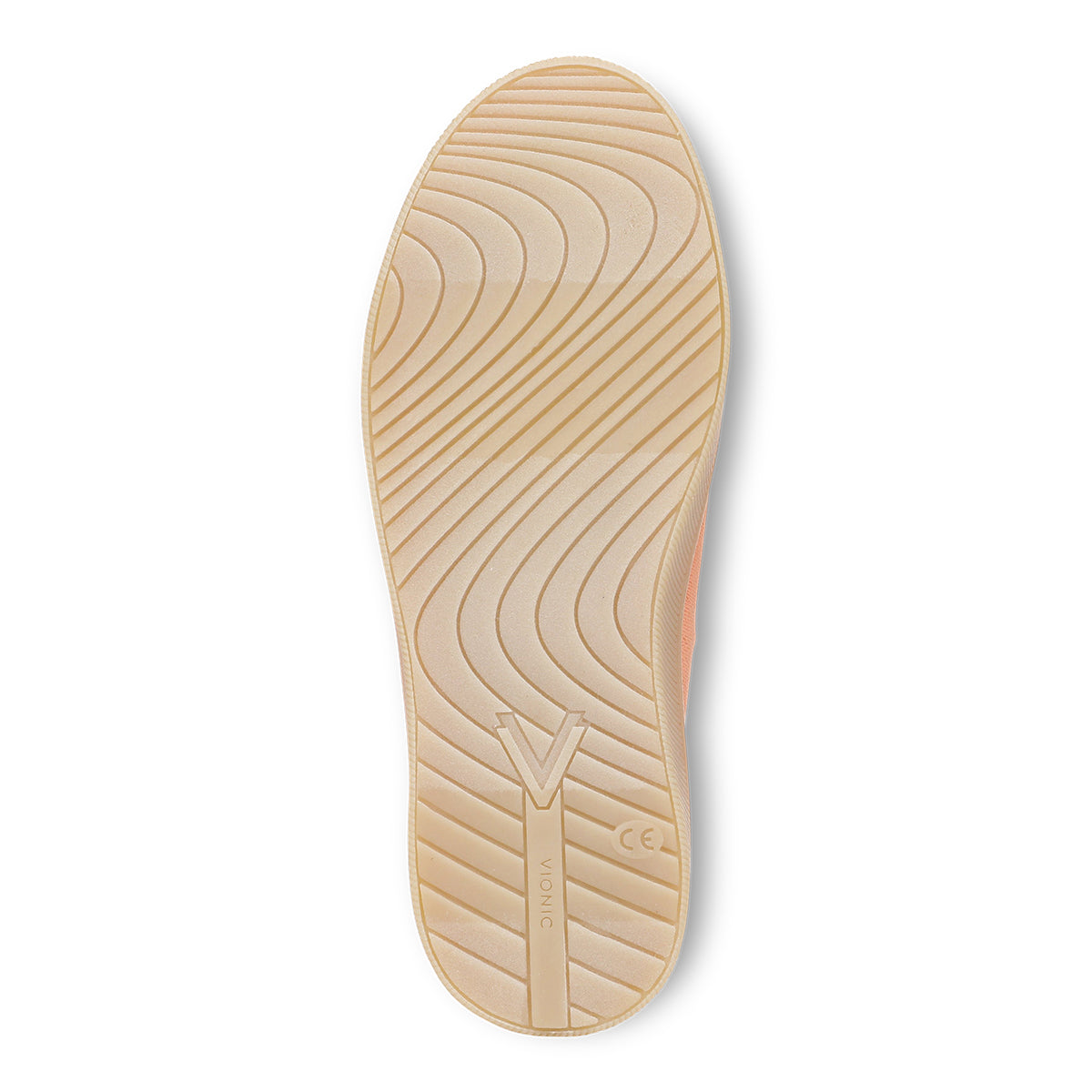 SHELL CORAL | Bottom