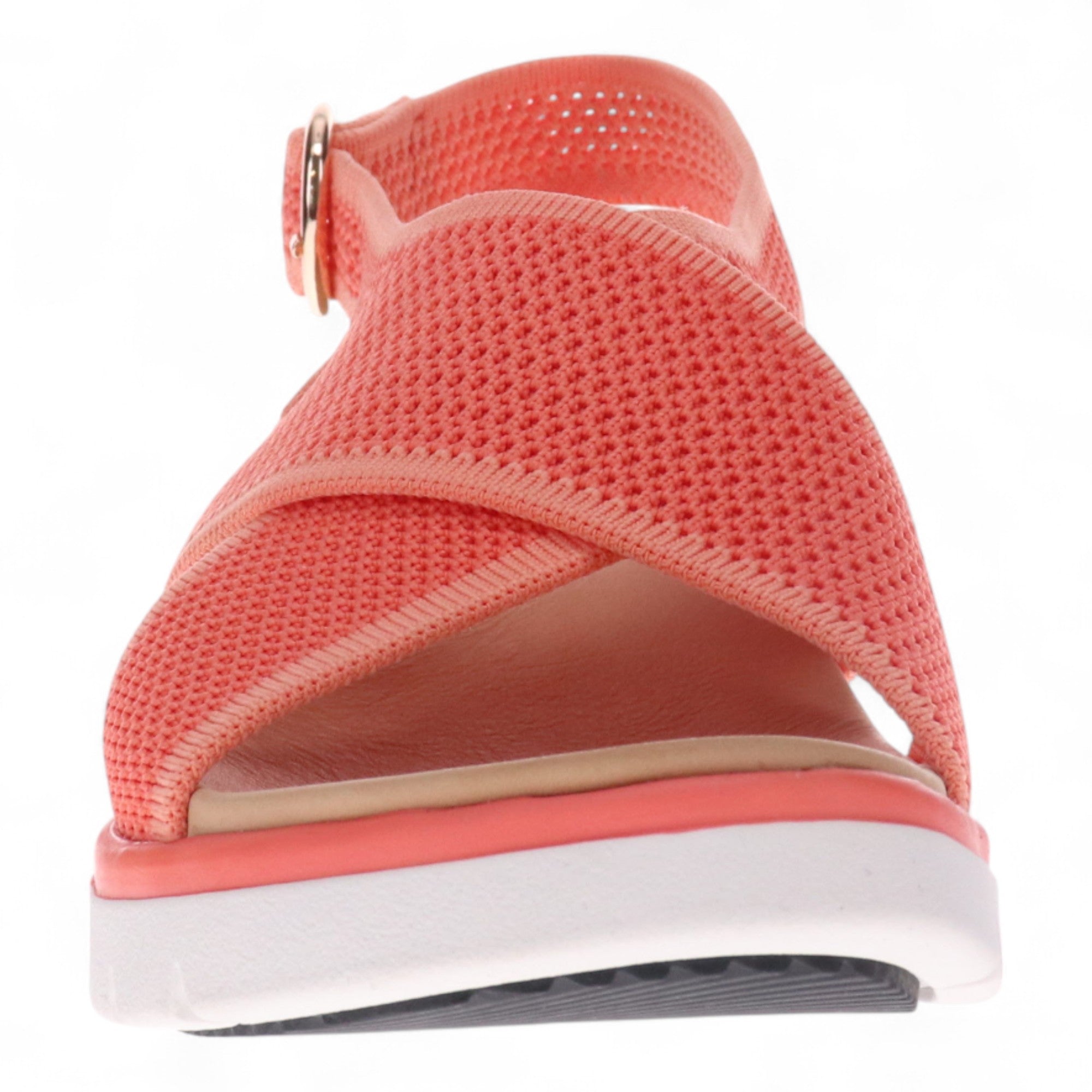 CORAL | Front
