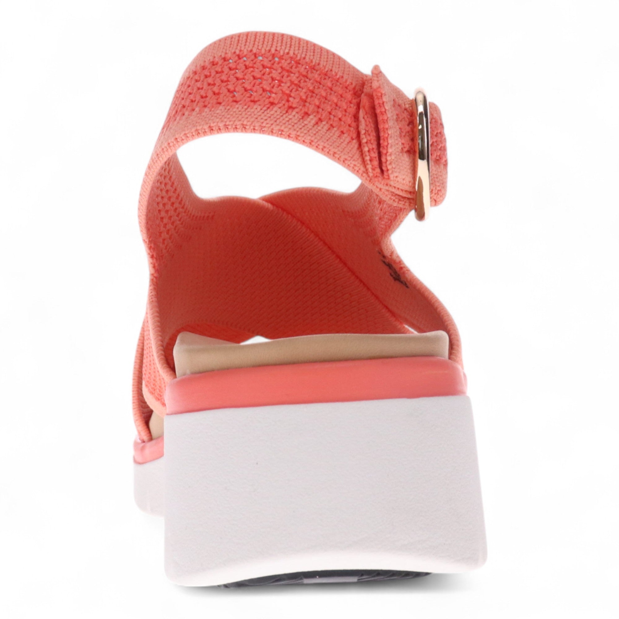 CORAL | Rear