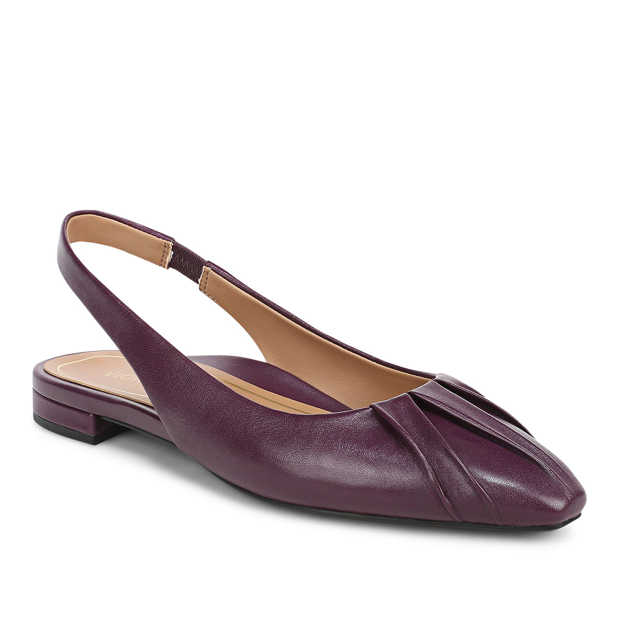 WINTER PLUM
