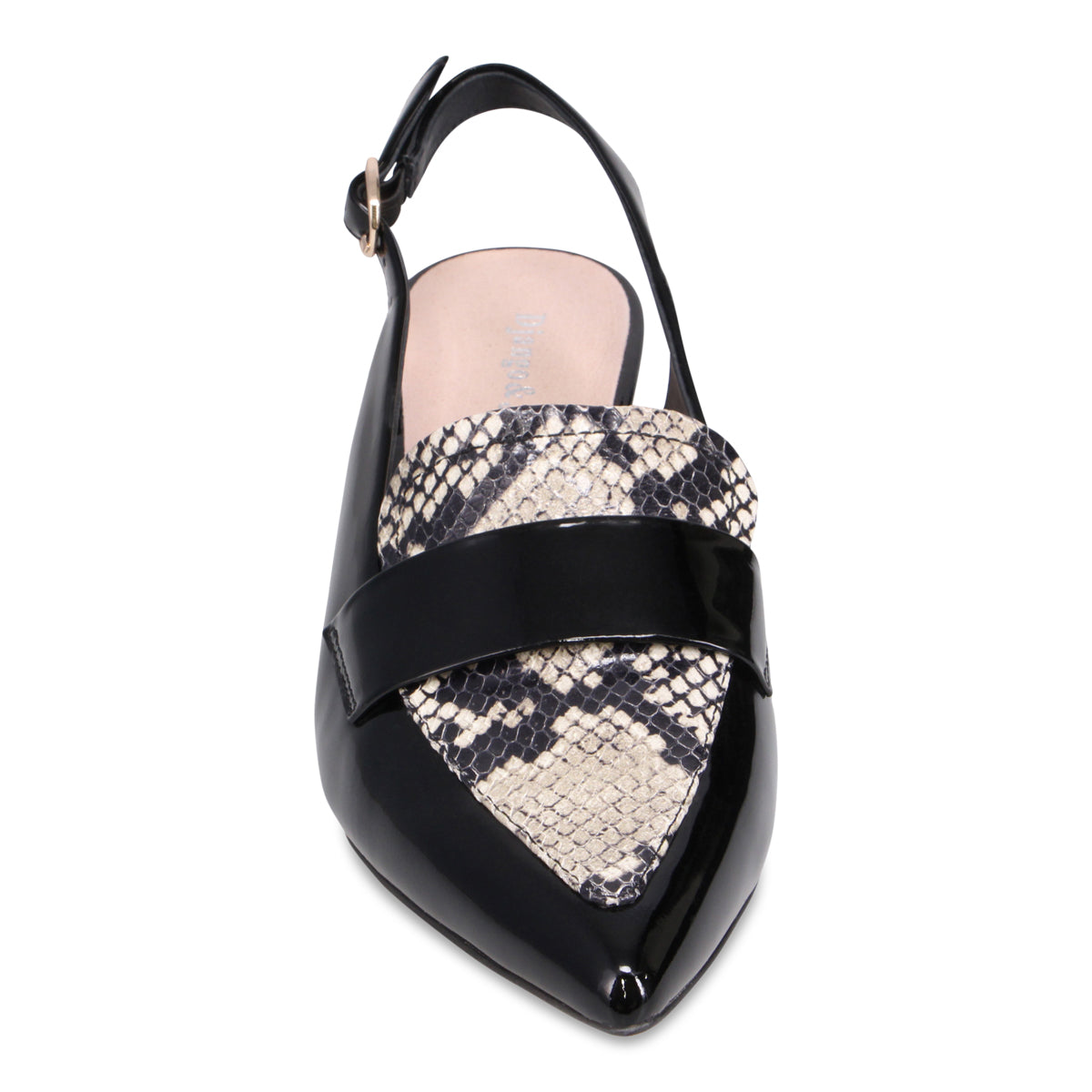 BLACK WHITE SNAKE | Front