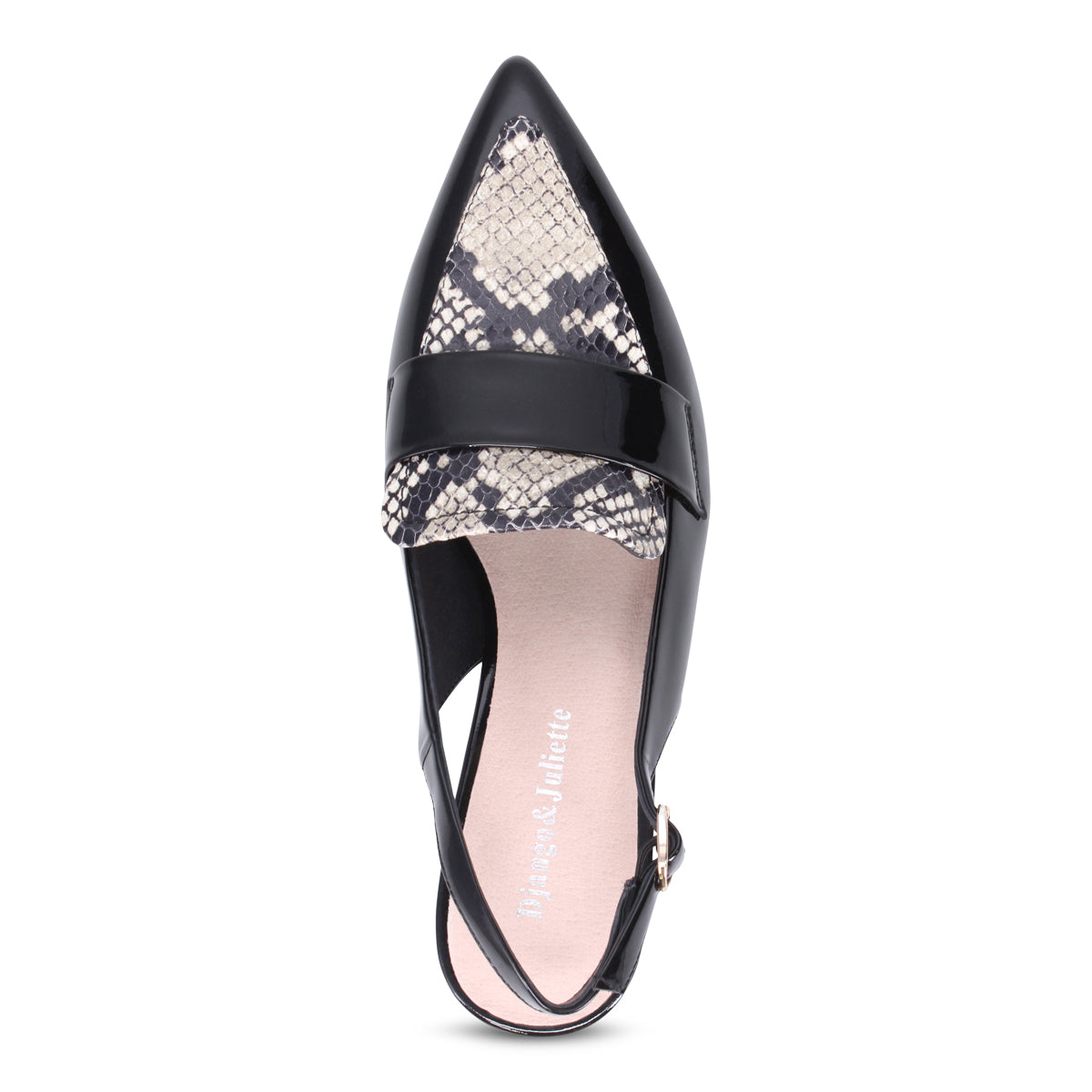 BLACK WHITE SNAKE | Top