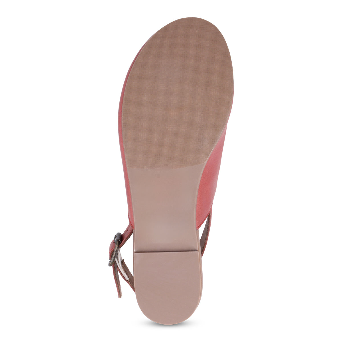 TERRRACOTTA | Bottom