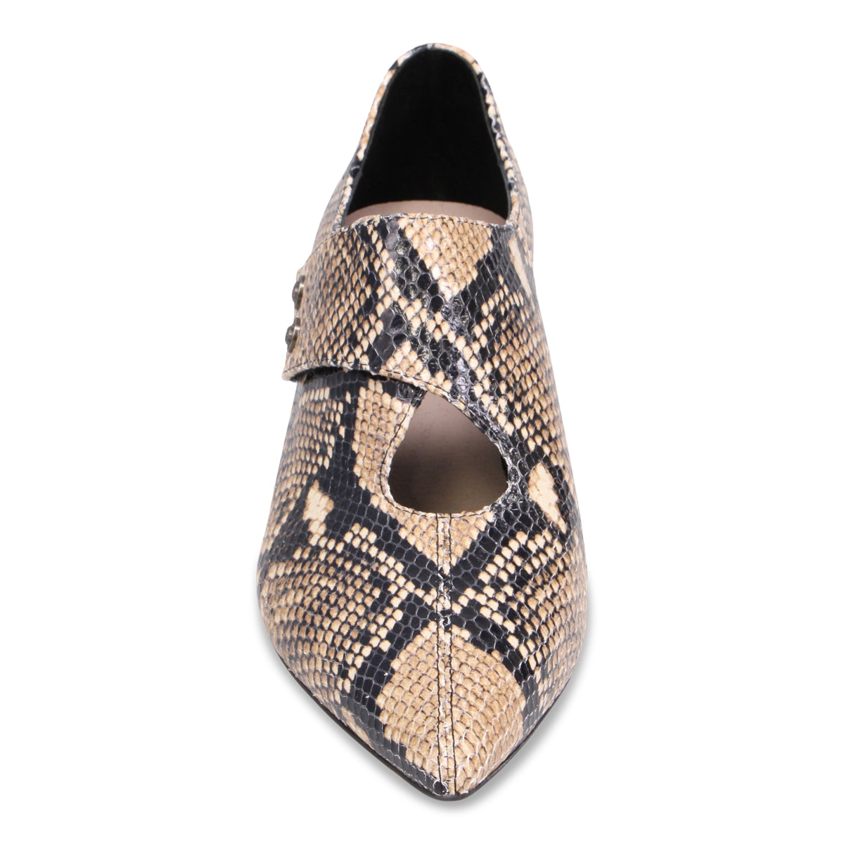 BLACK CARAMEL SNAKE | Front
