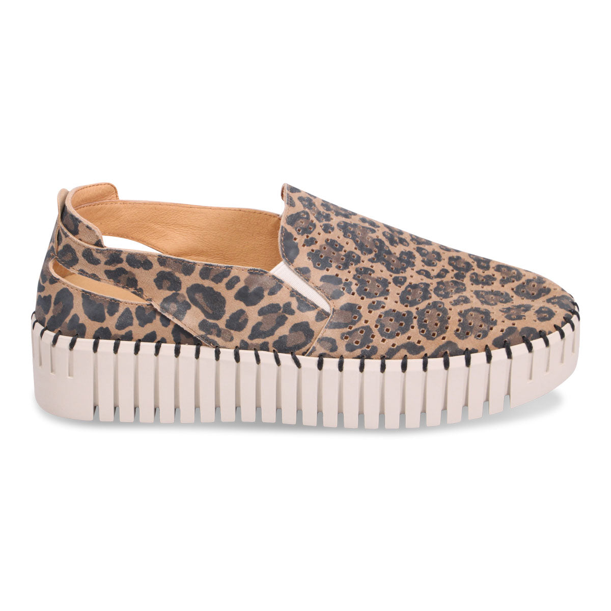 CAMEL LEOPARD | Right