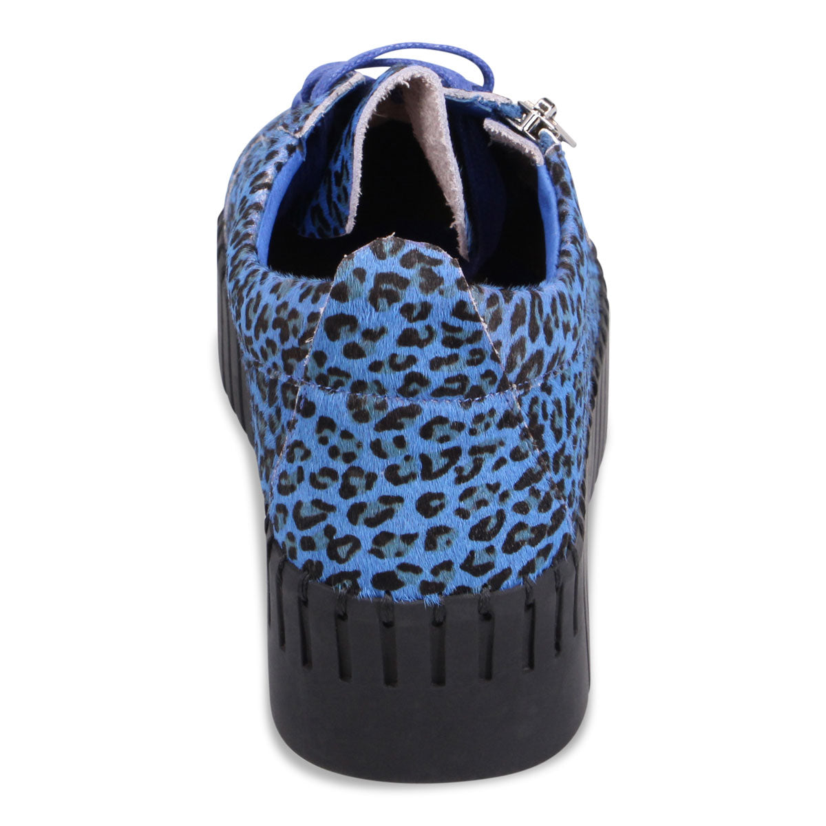 COBALT LEOPARD | Rear