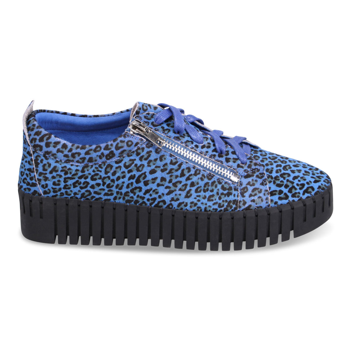 COBALT LEOPARD | Right