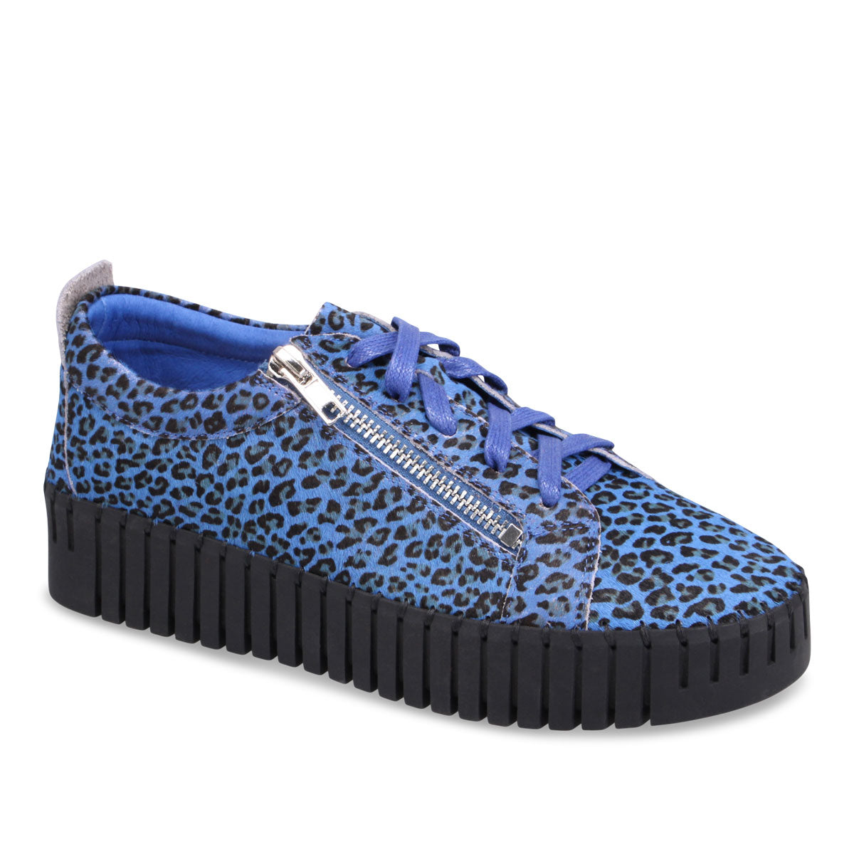 COBALT LEOPARD