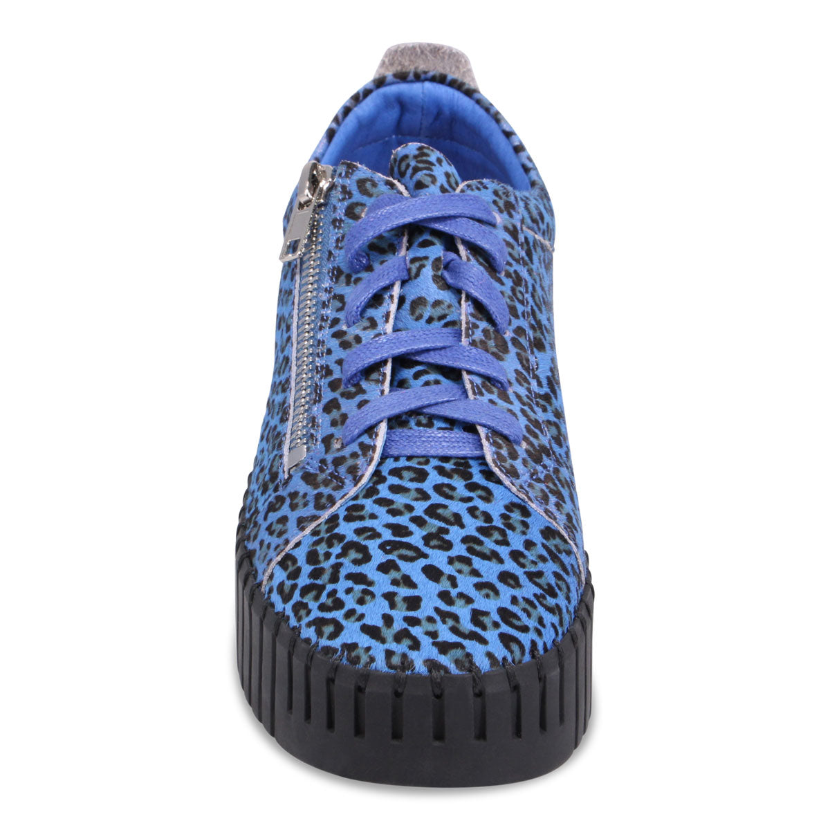COBALT LEOPARD | Front