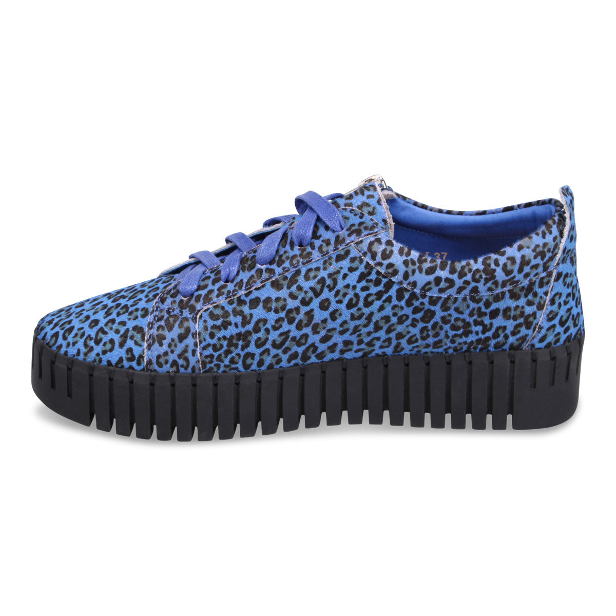 COBALT LEOPARD | Left