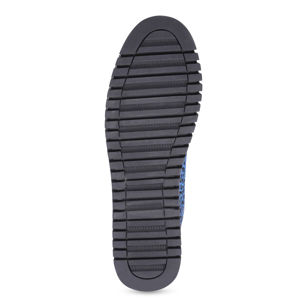 COBALT LEOPARD | Bottom