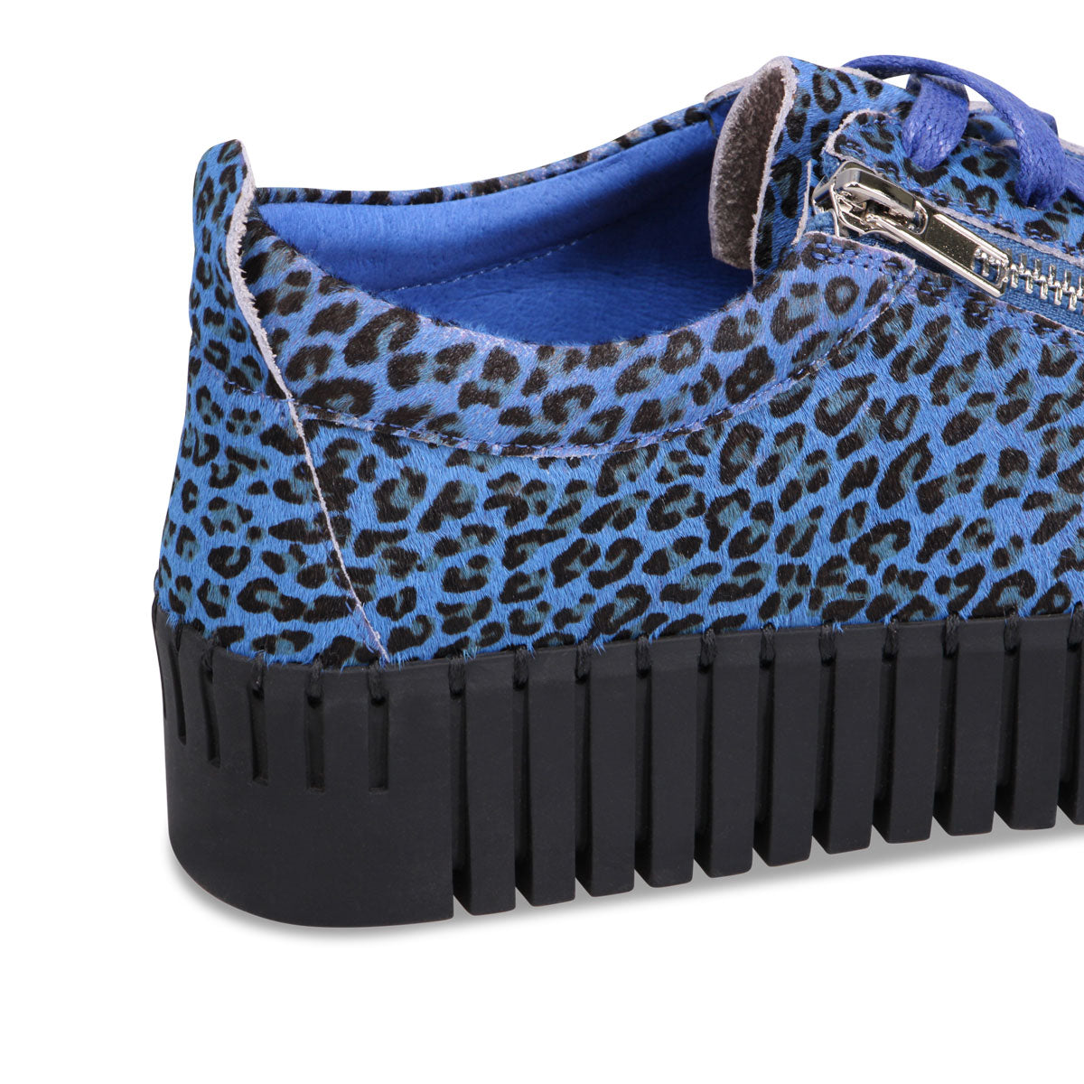 COBALT LEOPARD | Detail