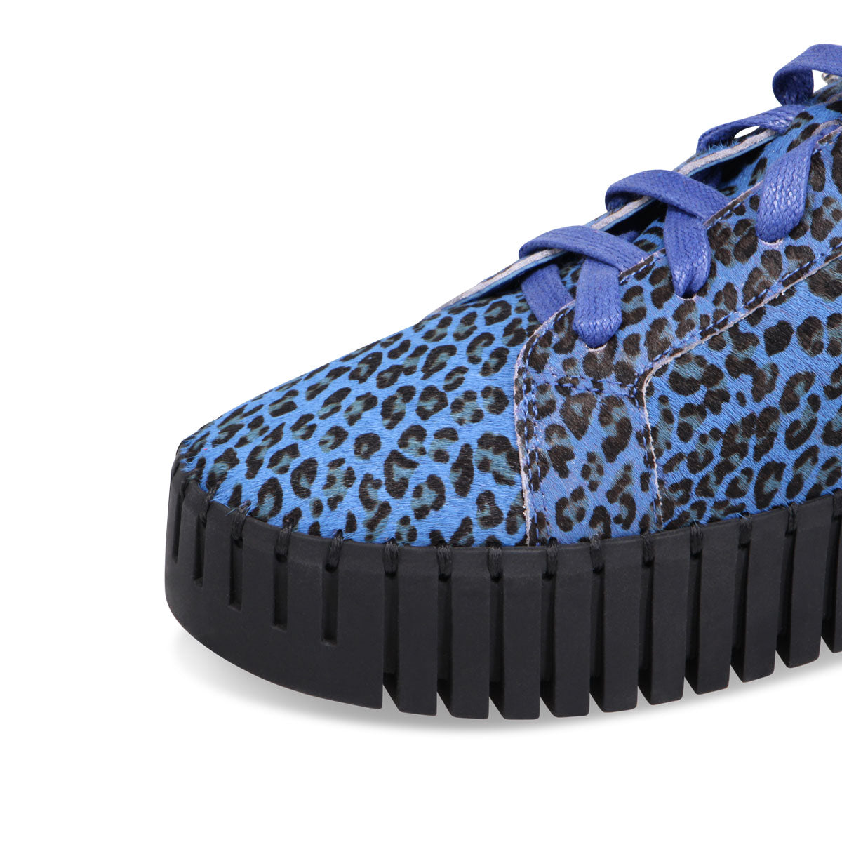 COBALT LEOPARD | Detail