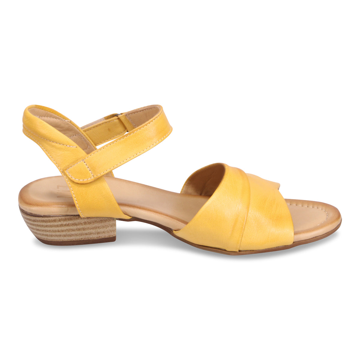 OCHRE | Right