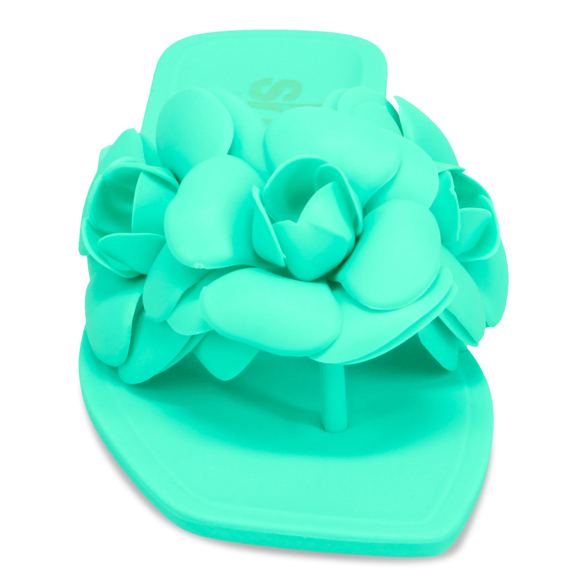 AQUA | Front