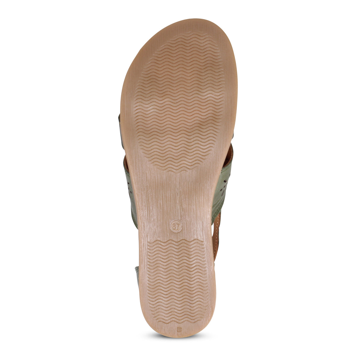 OLIVE | Bottom