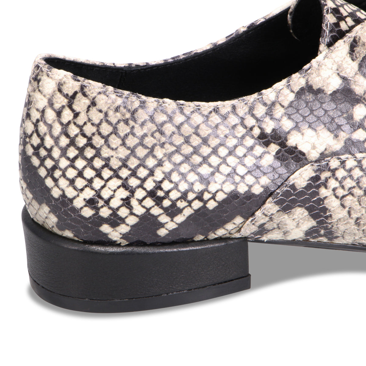 BLACK WHITE SNAKE | Detail