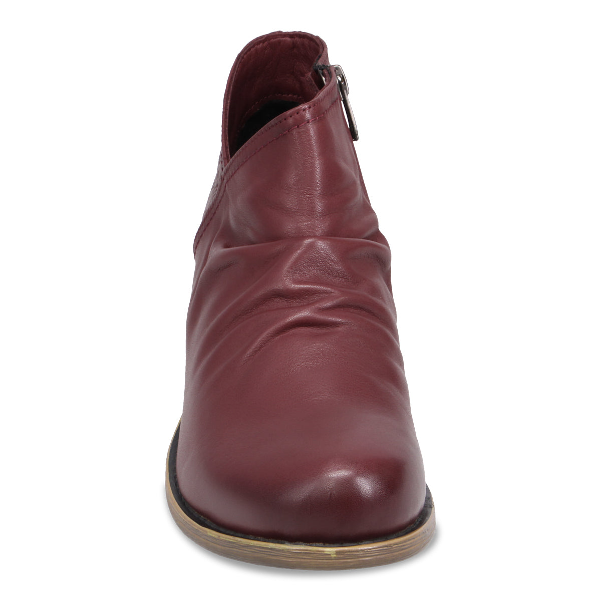 WINE | Front