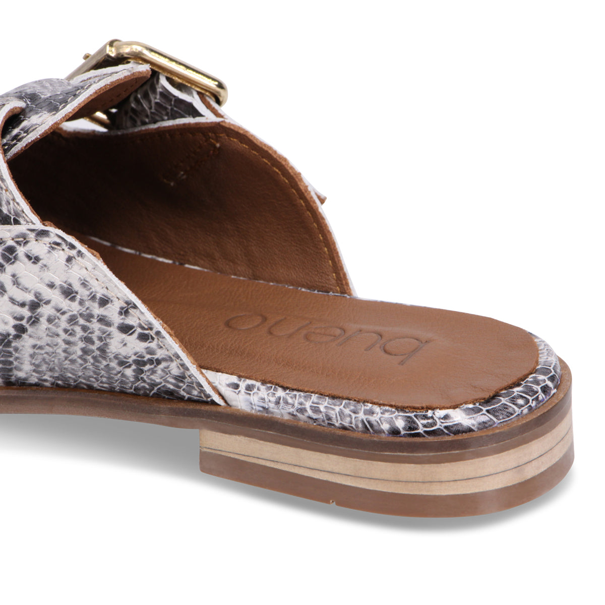 WHITE SNAKE | Detail