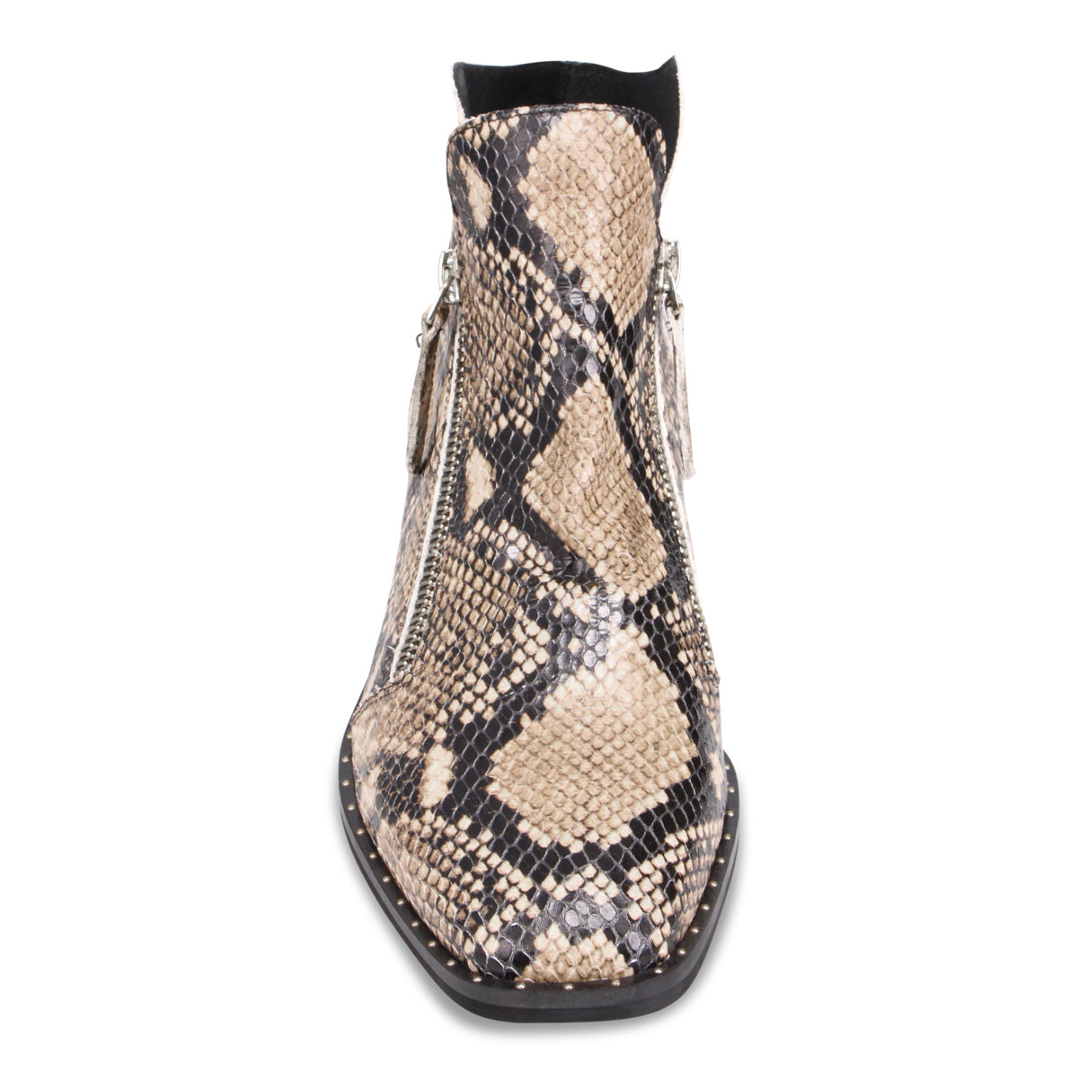 BLACK CARAMEL SNAKE | Front