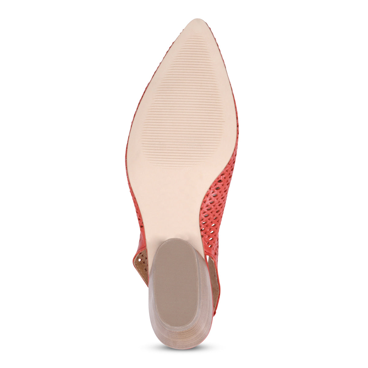 SCARLET | Bottom
