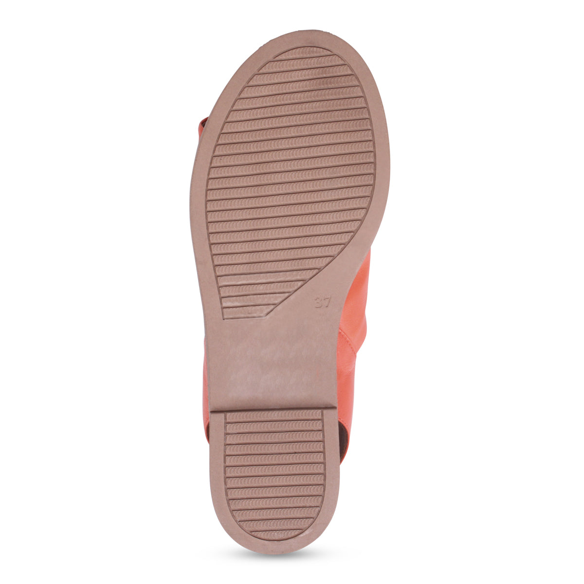SUNSET | Bottom