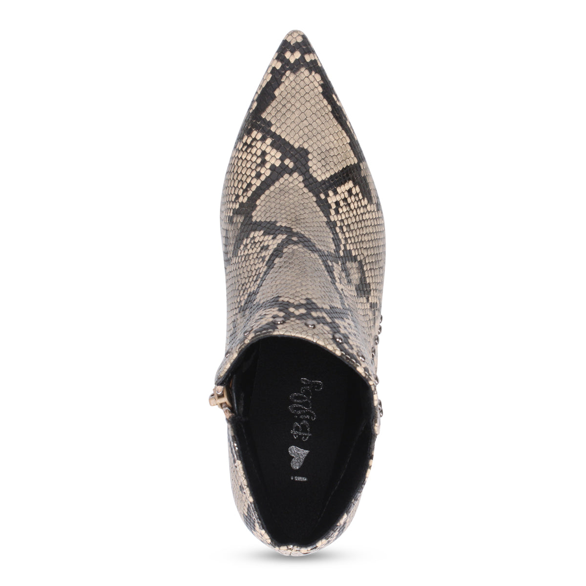 BROWN SNAKE | Top