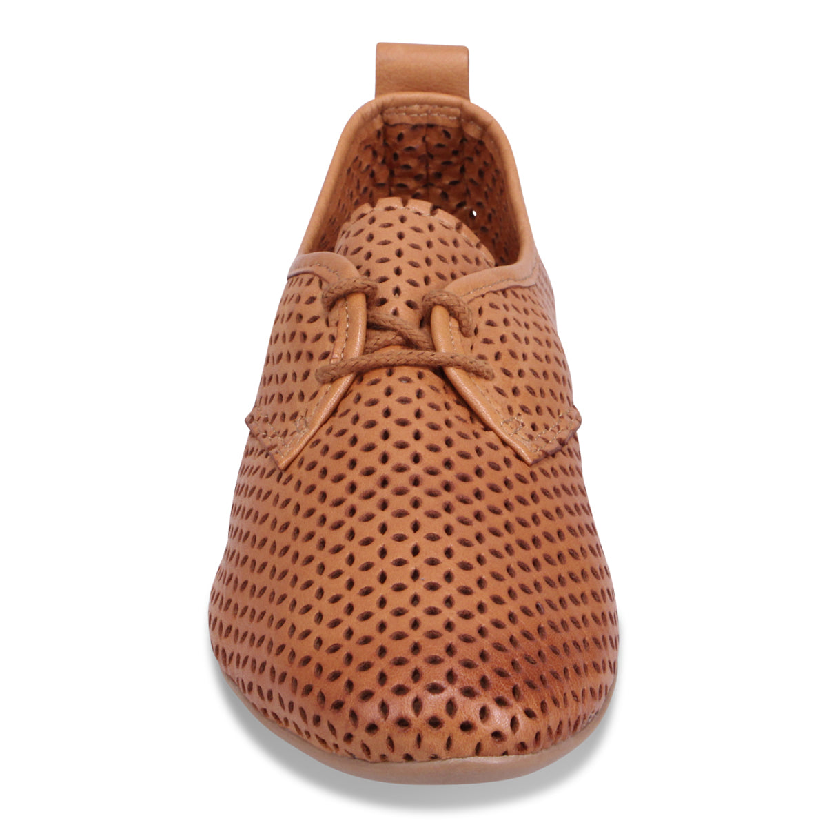 BRANDY | Front