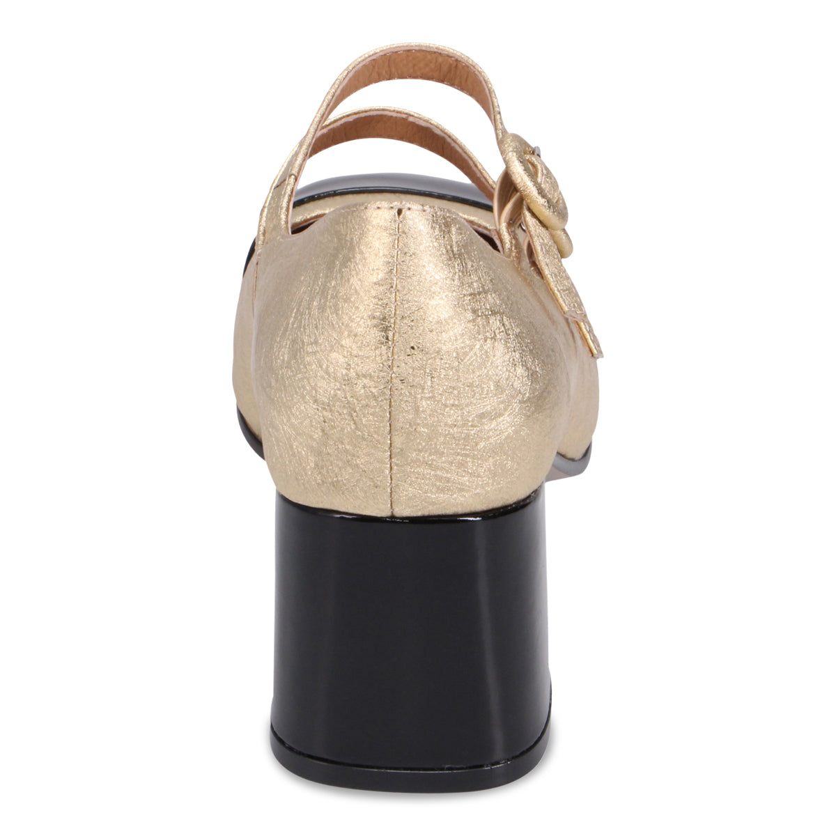 BLACK GOLD SCRIBBLE | Rear