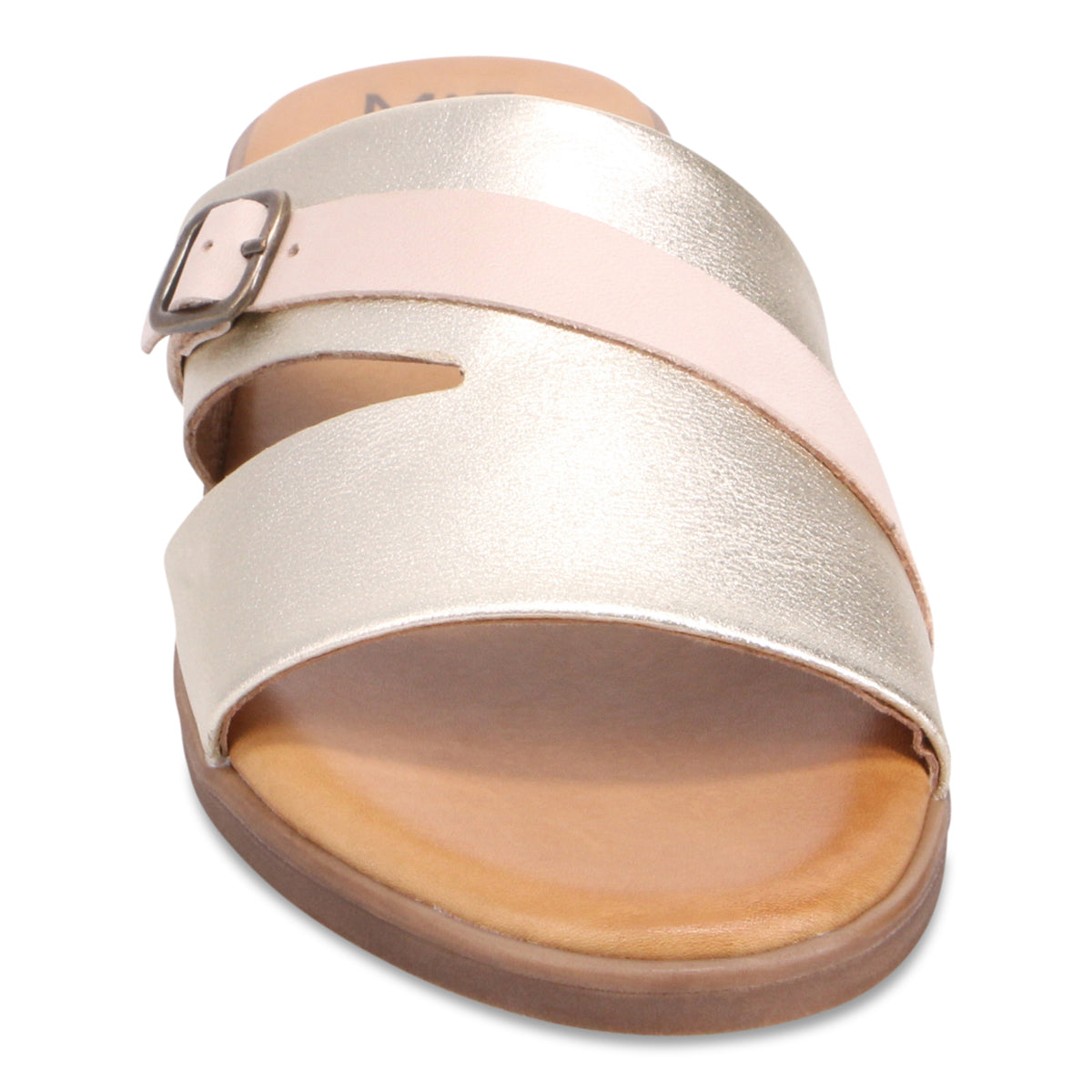 GOLD + CREAM | Front