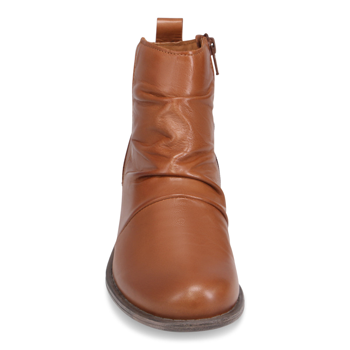 BRANDY | Front