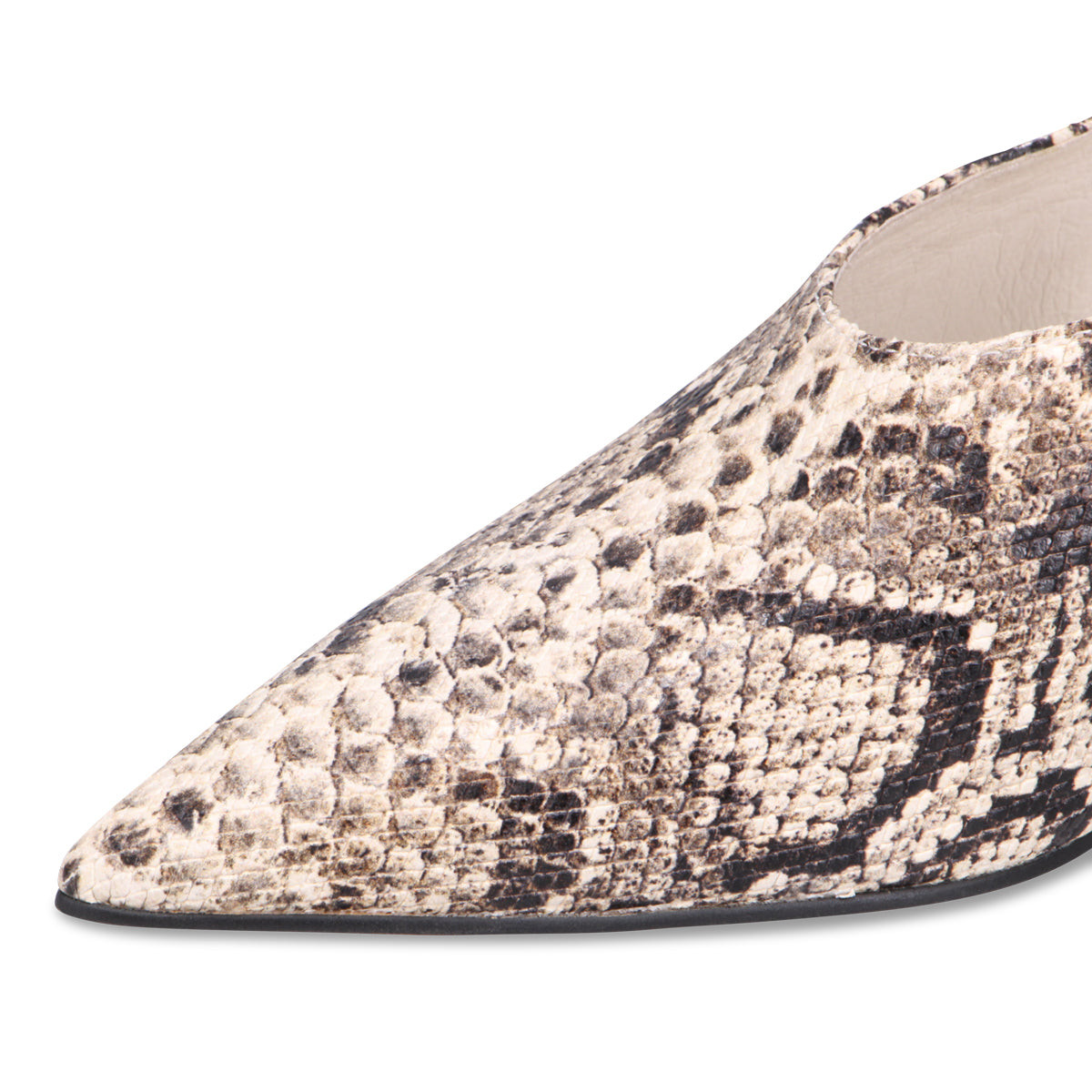 CREAM SNAKE | Detail