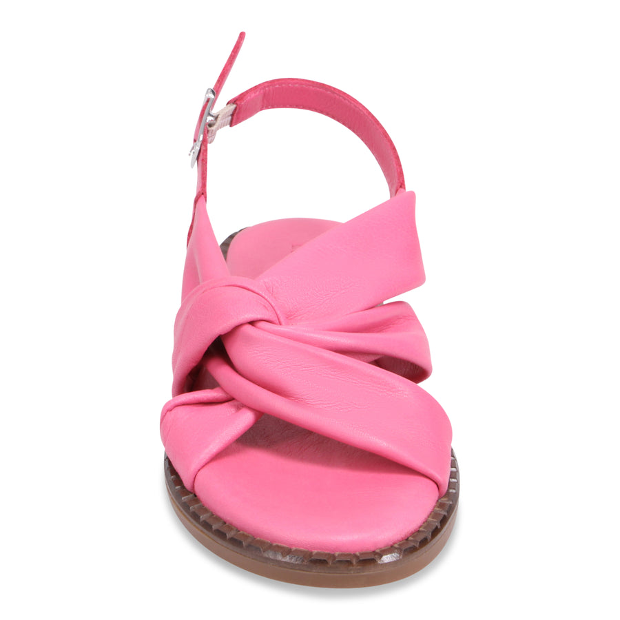 CARMINE ROSE | Front