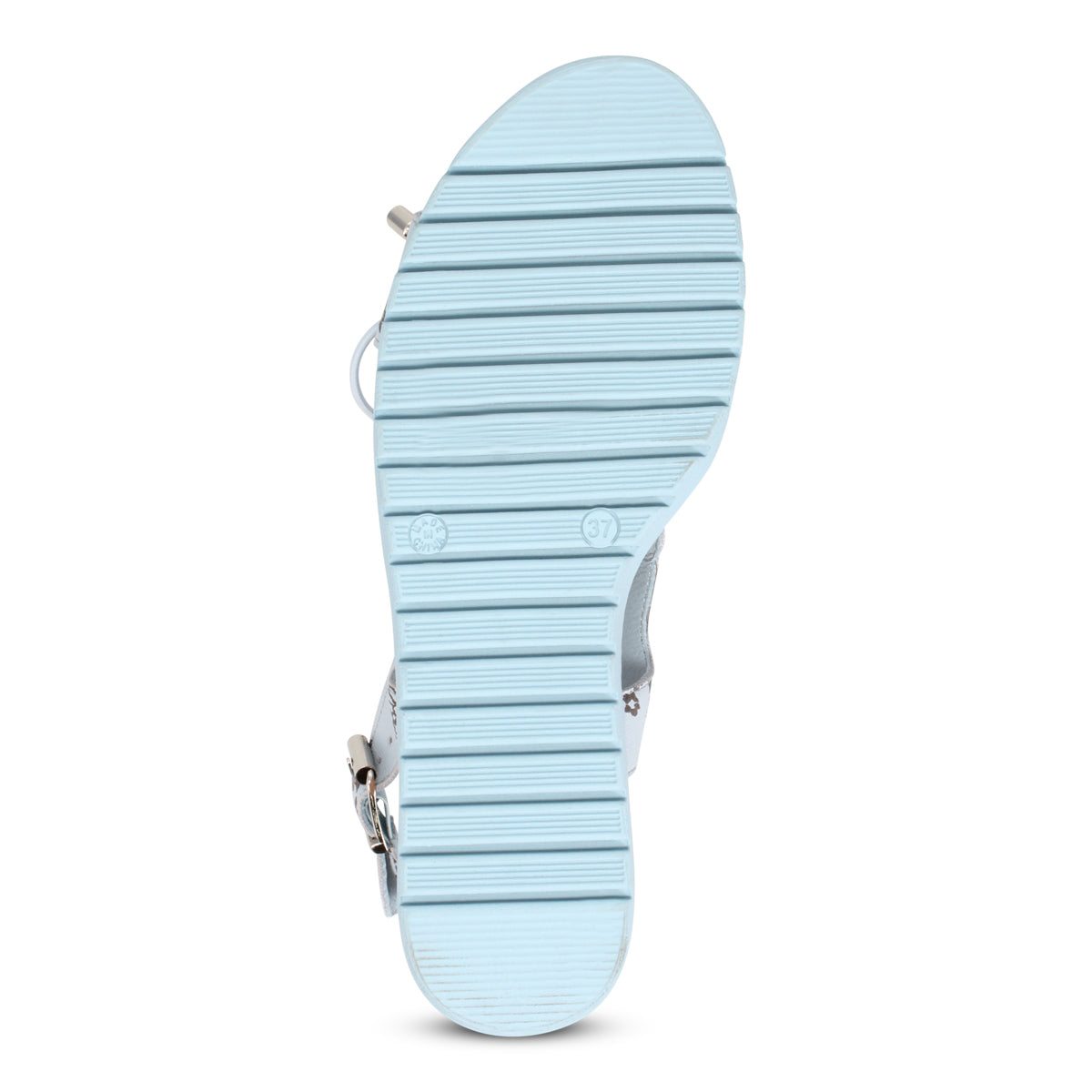 PALE BLUE CHOC FLORAL | Bottom