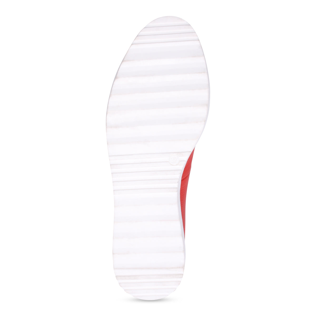 RED & WHITE SPOT | Bottom