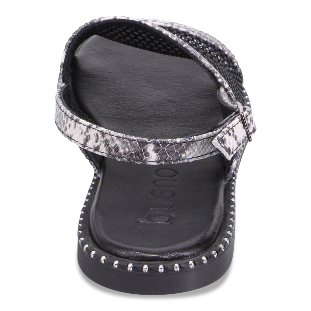 BLACK SNAKE | Rear
