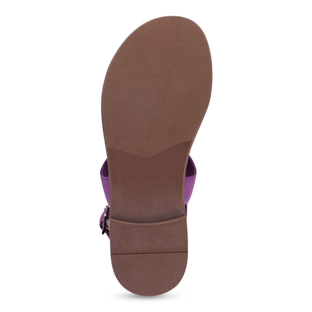 PURPLE SNAKE | Bottom