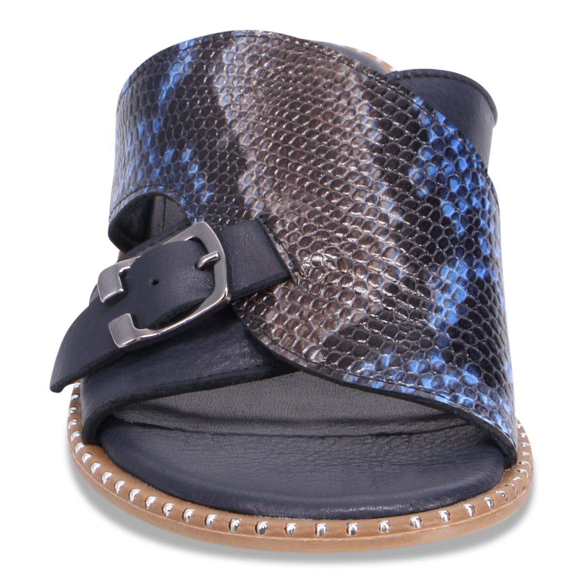 NAVY SNAKE | Front