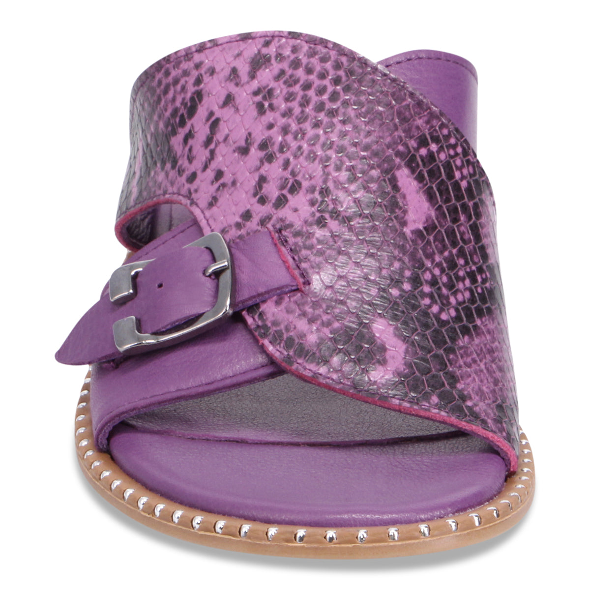 PURPLE SNAKE | Front