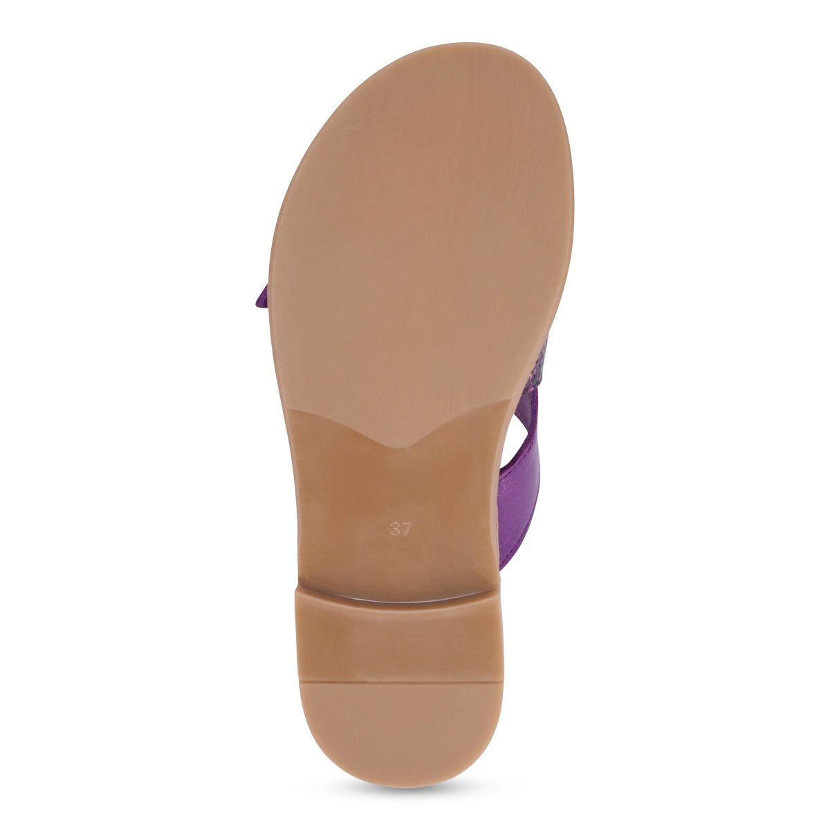 PURPLE SNAKE | Bottom