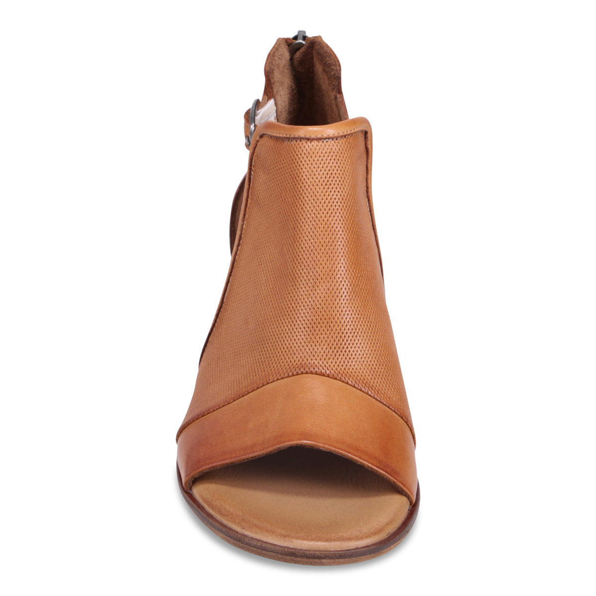 BRANDY | Front