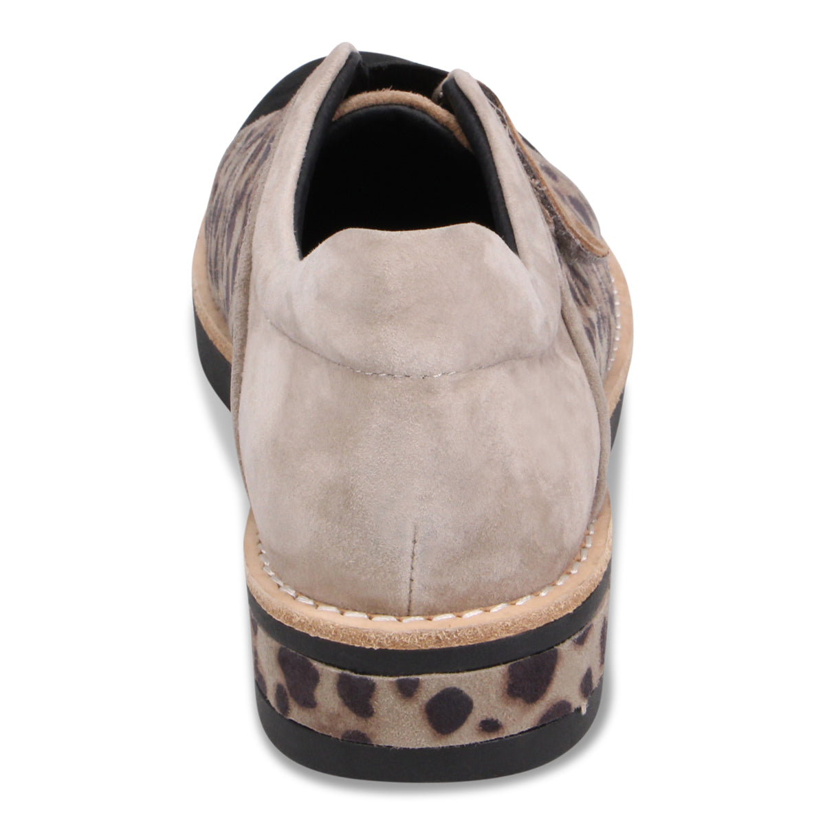 LEOPARD MULTI | Rear