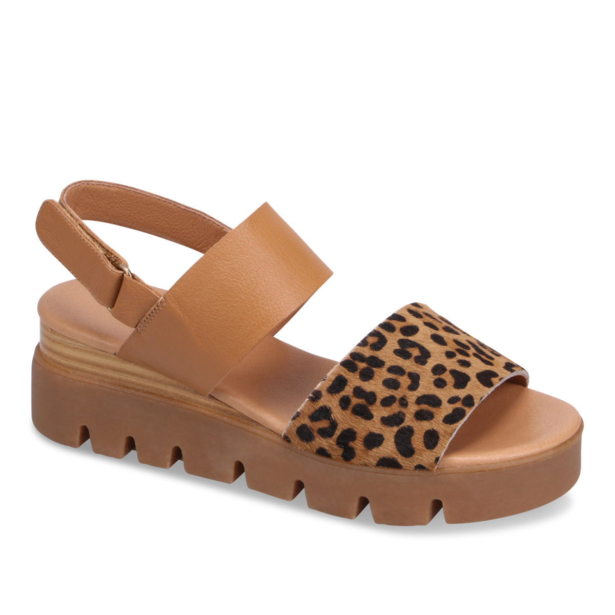 TAN LEOPARD