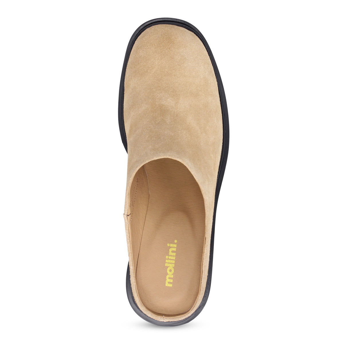 CAMEL SUEDE | Top