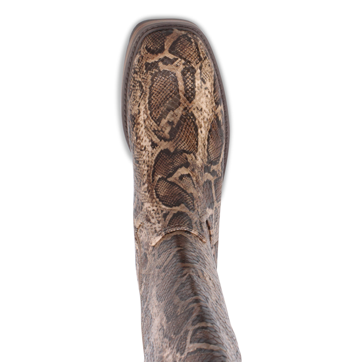TAUPE SNAKE | Top