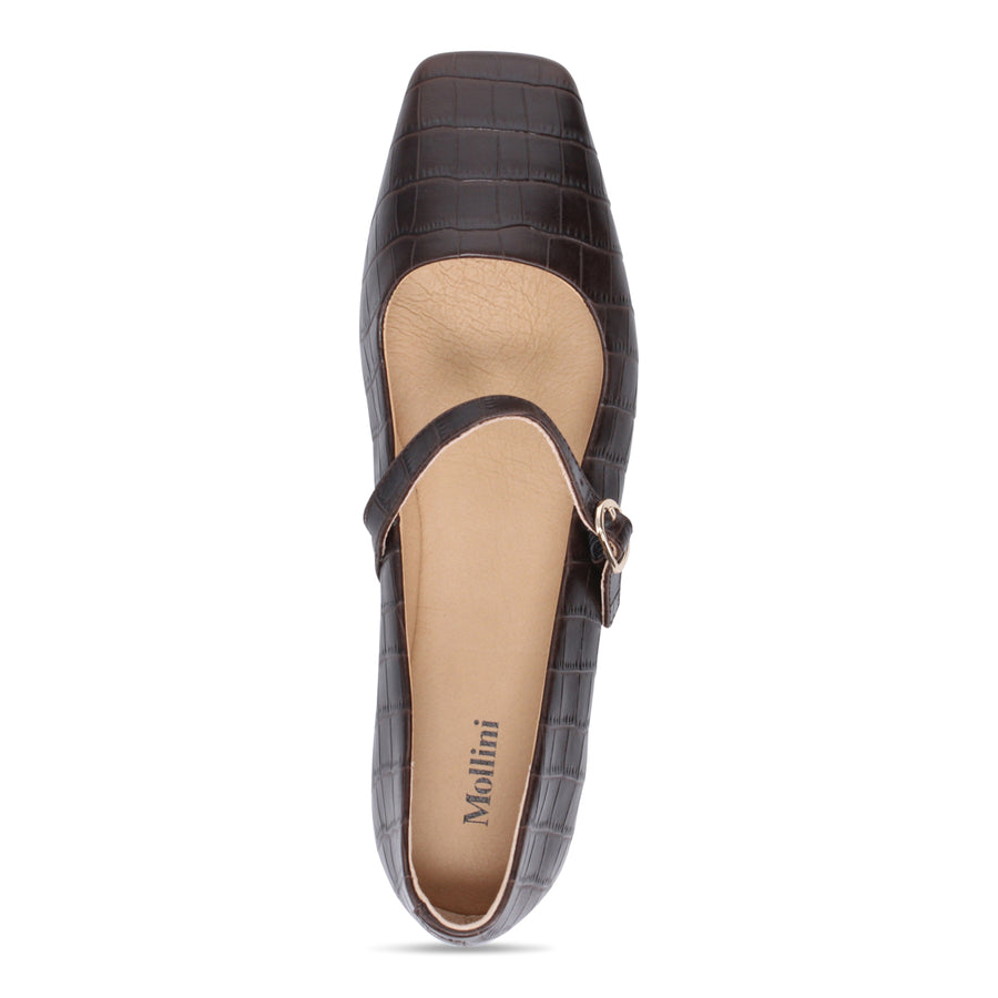 BROWN SHINE CROC | Top