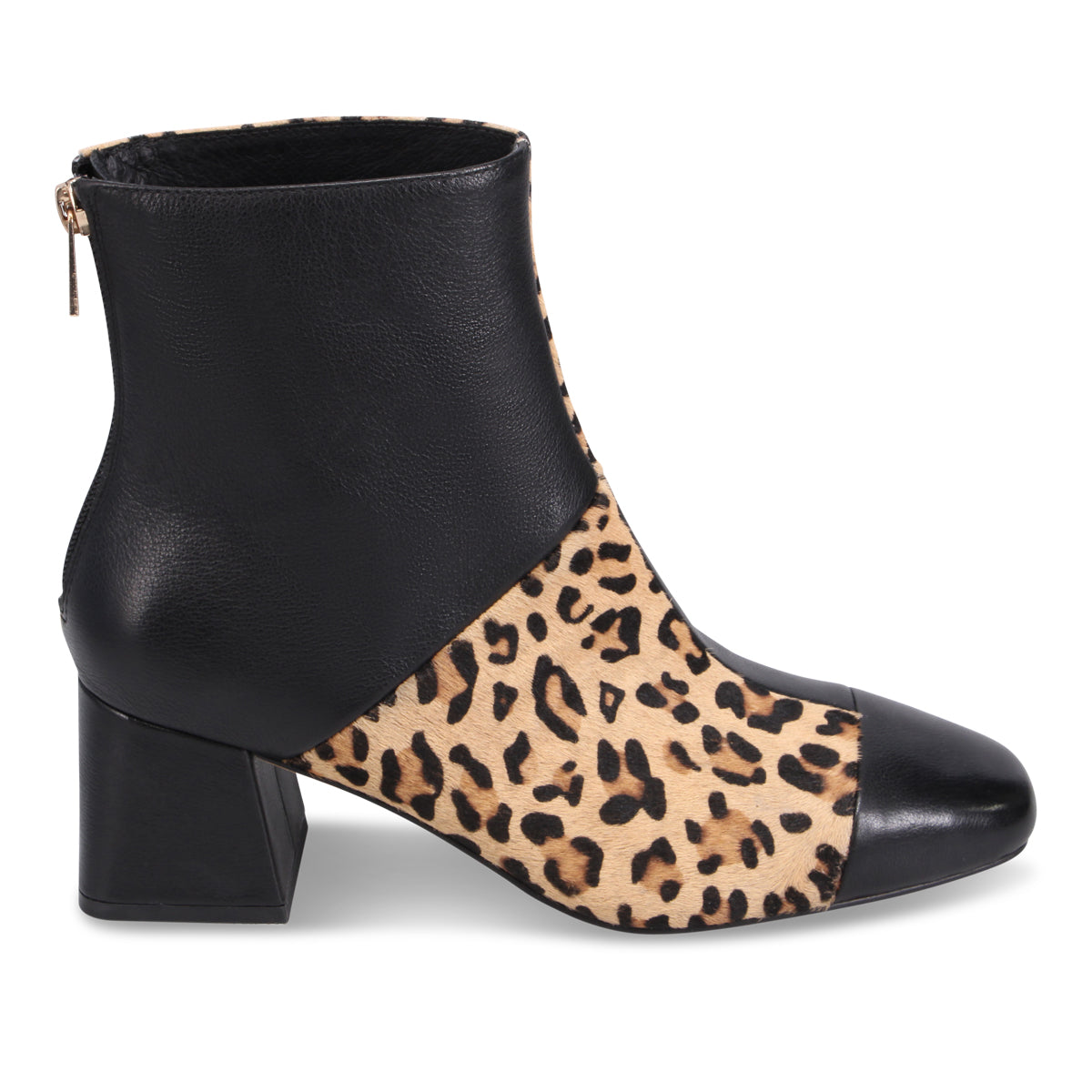 BLACK TAN LEOPARD | Right