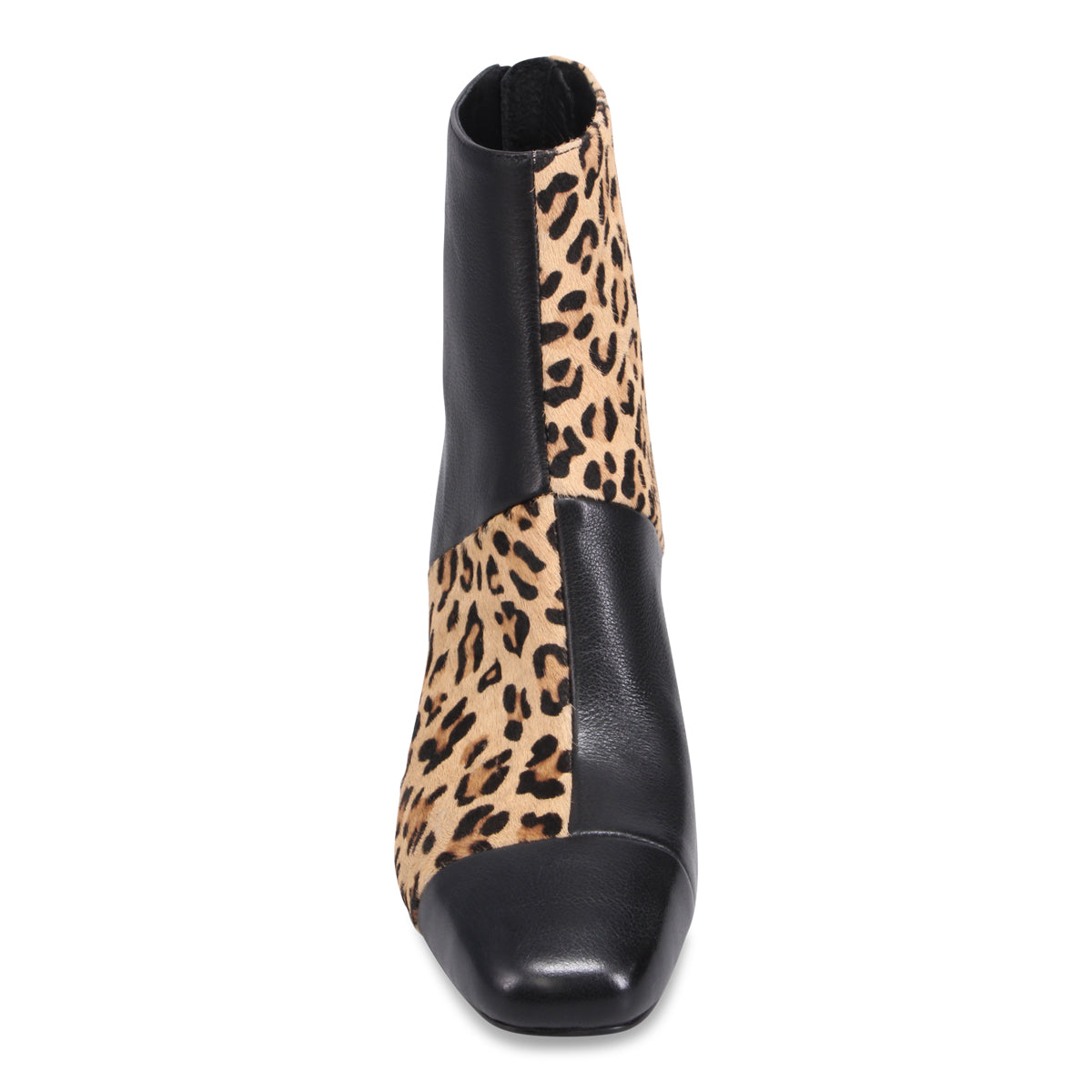 BLACK TAN LEOPARD | Front