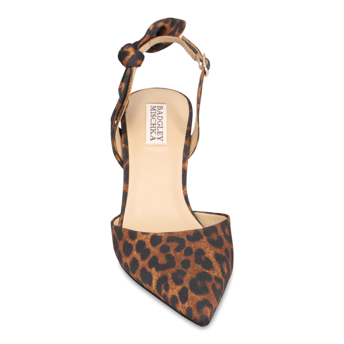 BROWN LEOPARD | Front